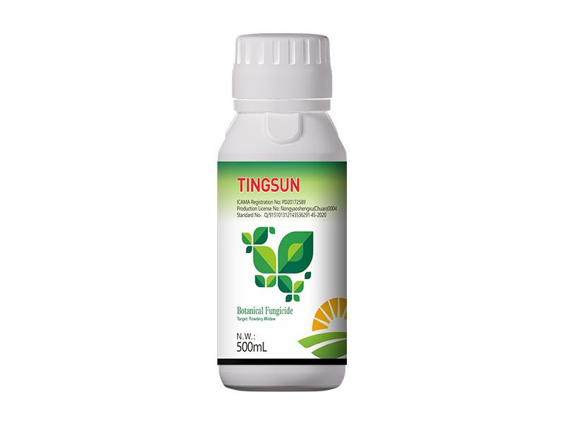 Tingsun