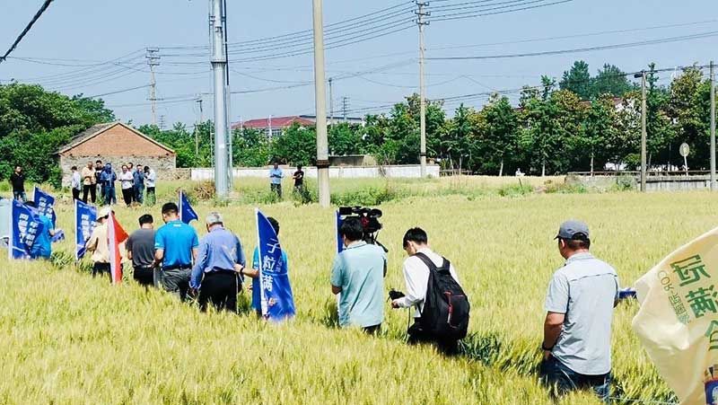 520健康植保日——擁抱綠色農(nóng)業(yè)，我們?cè)谛袆?dòng)