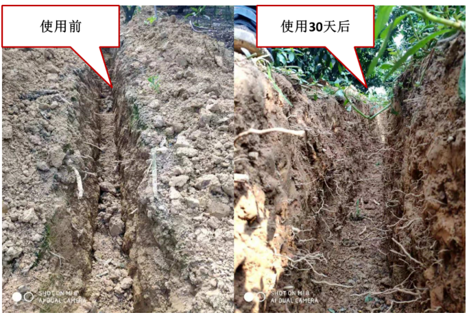 “土壤板結克星”：土壤調(diào)理劑你了解多少？